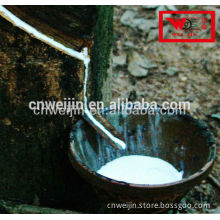 milk of rubber tree flows into a bowl